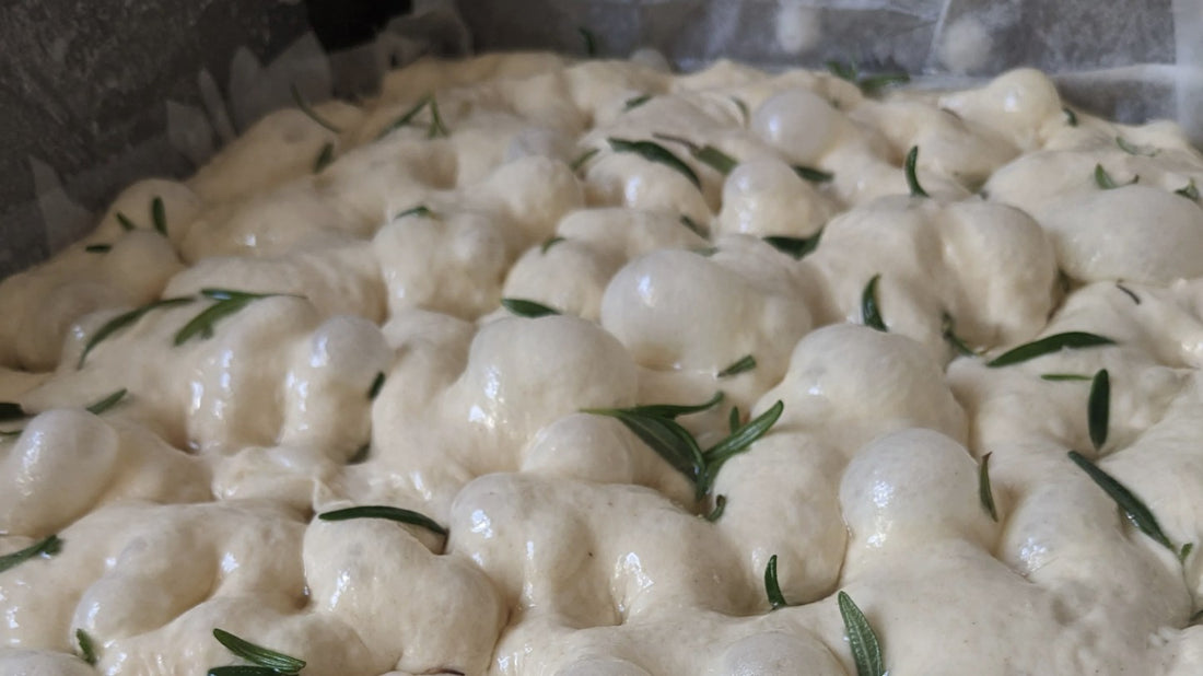 Sourdough Focaccia Recipe