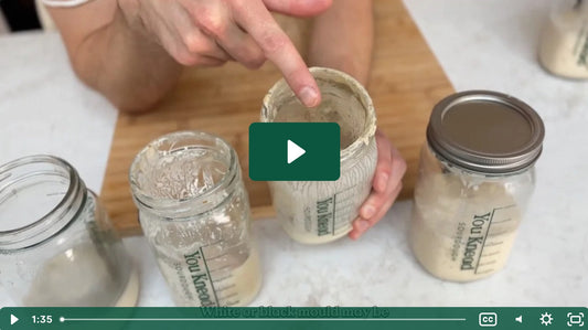 Has My Sourdough Starter Gone Bad? How to Know for Sure