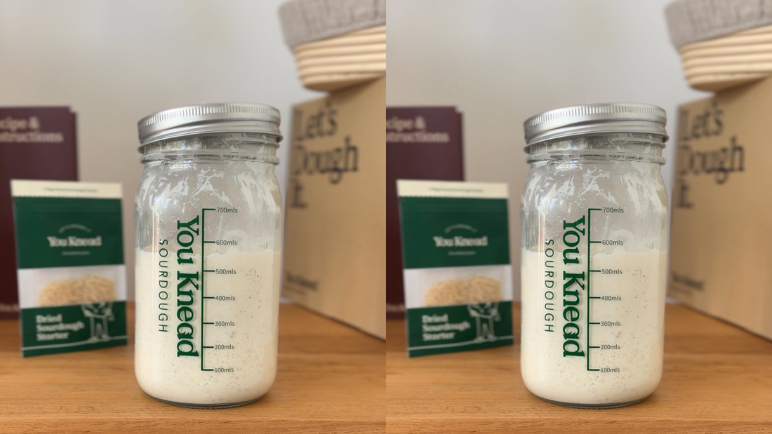 Sourdough starter ratio guide